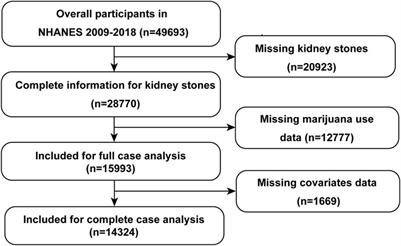 Association between marijuana use and kidney stone: a cross-sectional study of NHANES 2009 to 2018